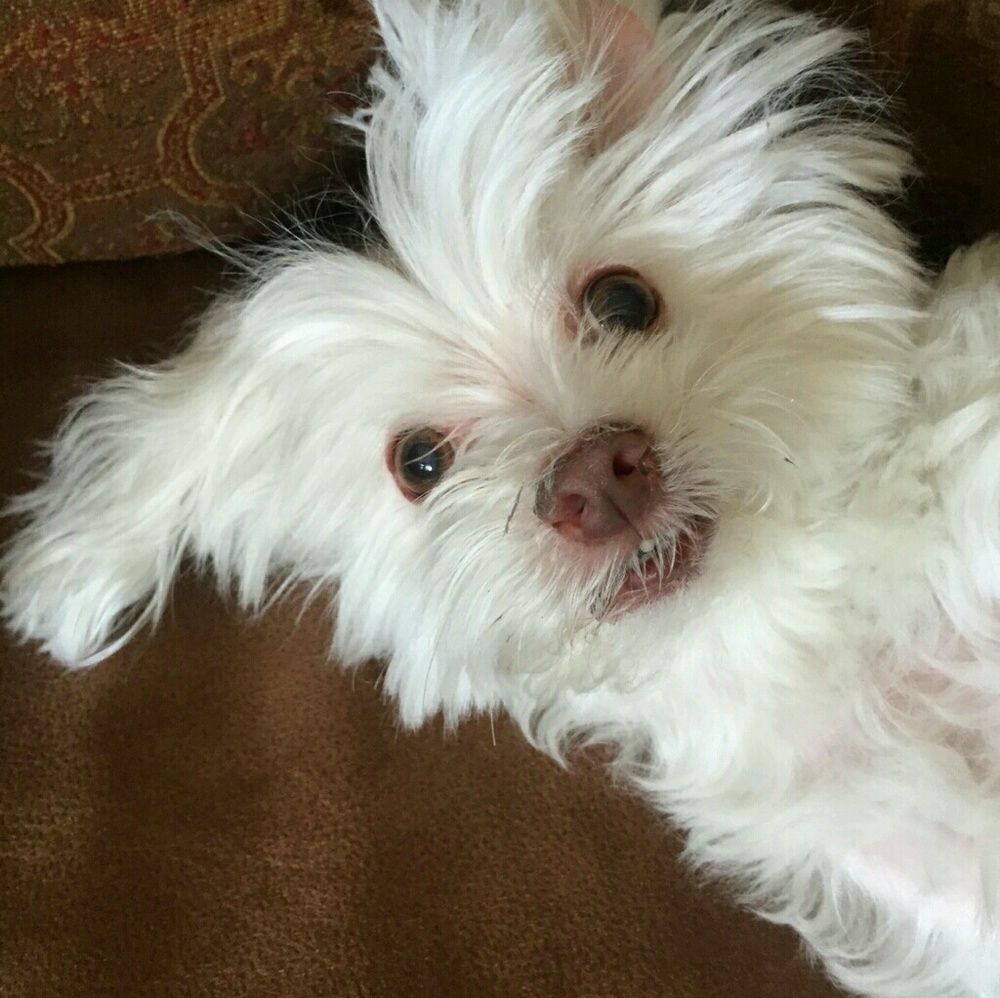 Meet your Posher, Rhonda